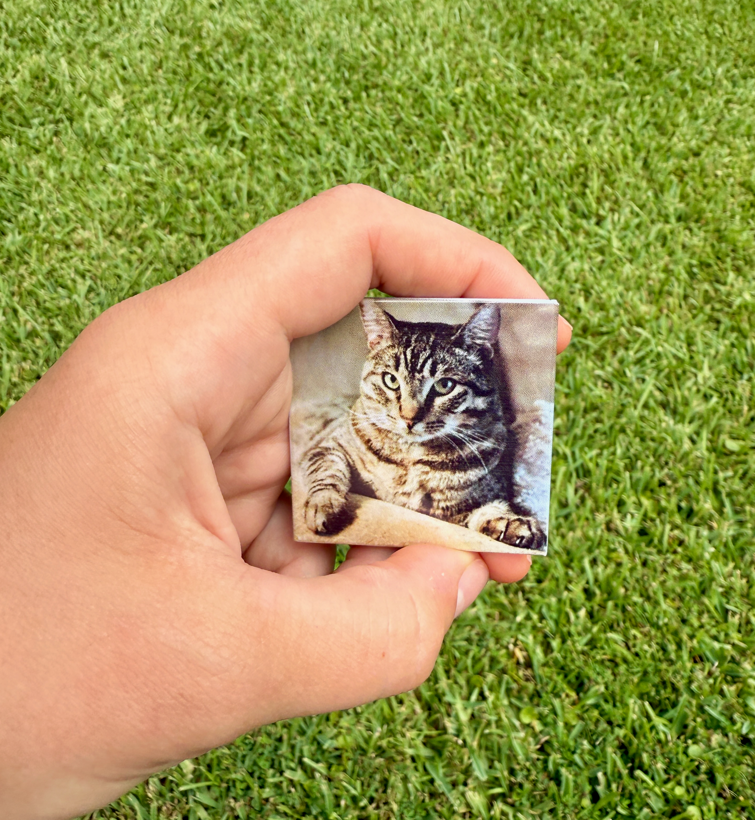 2" Magnet - Set of 6